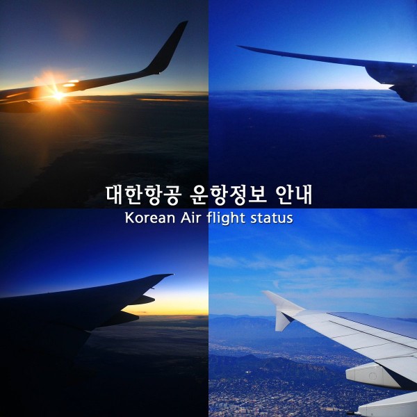 ‘눈 폭탄’ 김포공항 결항-지연 ‘항공 스케줄 '확인'..."제방빙 작업으로 지연"