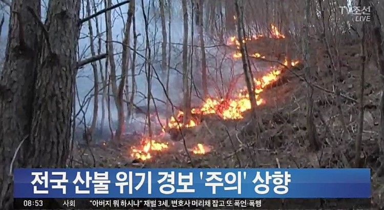 사진=울산 남산 은월봉 인근에서 28일 오전 9시52분께 산불이 났다.