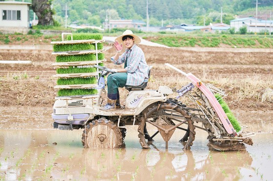 사진='워라밸' 일상에 초첨을 맞춘 영화 '리틀 포레스트'가 지난달 28일 개봉했다. 