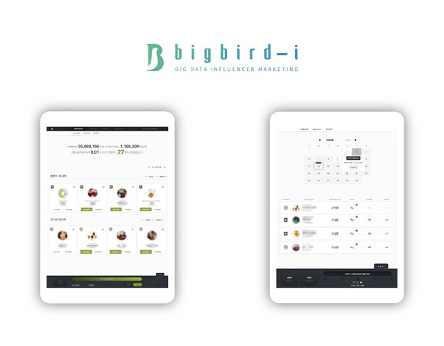 인플루언서 마케팅 전문업체 '빅버드아이', 팔로워수가 아닌 빅데이터로 진짜 인플루언서 선정