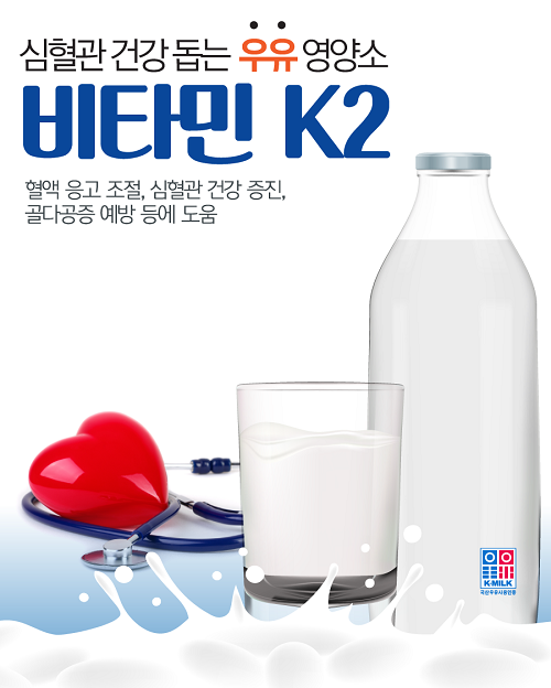 노년기 골다공증, 우유 속 ‘비타민 K2’가 도움 줄 수 있어 