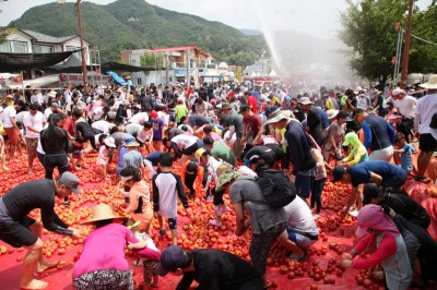 관광객들이 2018 화천 토마토축제를 즐기고 있다. 사진=오뚜기.