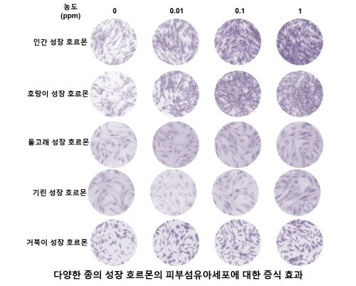 ㈜넥스젠바이오텍, 성장 호르몬 유전자 재조합으로 화장품 원료집 등재