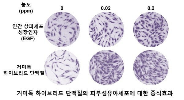 넥스젠, 거미독 하이브리드 단백질 미국 특허 받아