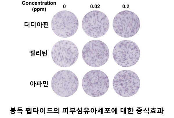 ㈜넥스젠바이오텍, 거미독 하이브리드 신물질에 이어 봉독 펩타이드 대량 생산 기술 개발