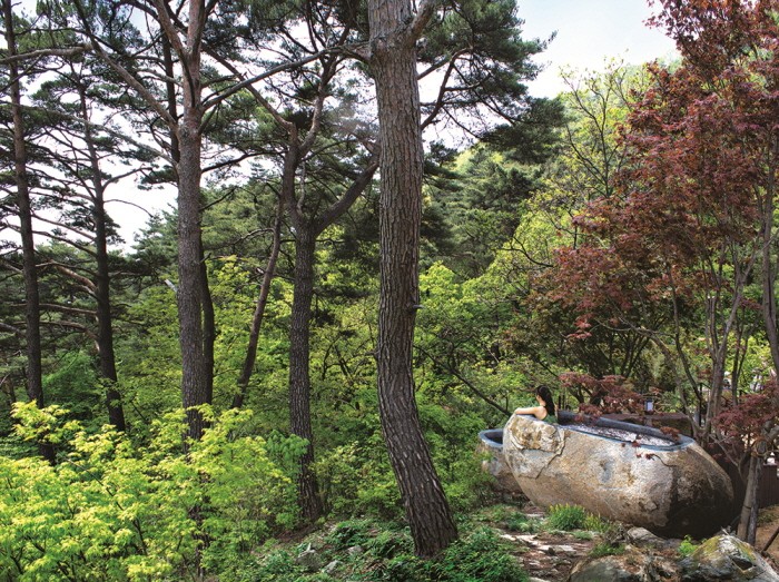 충북 제천 리솜포레스트. (사진=위드이노베이션 제공)