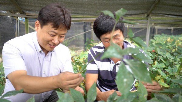 소상공인방송, '협동조합, 함께 잘 사는 공식' 방송 시작