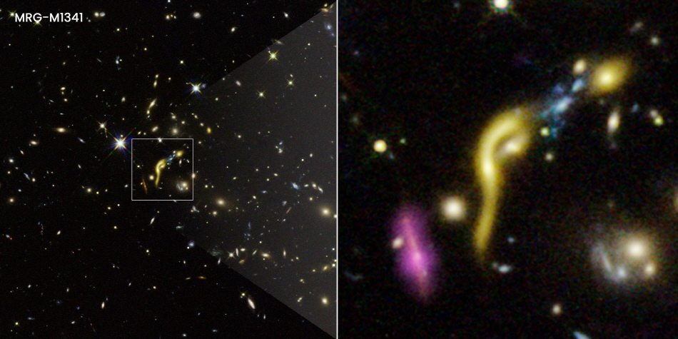6개 죽은 은하 중 하나인 ‘MRG-M1341’ 사진=Joseph DePasquale(STScI)
