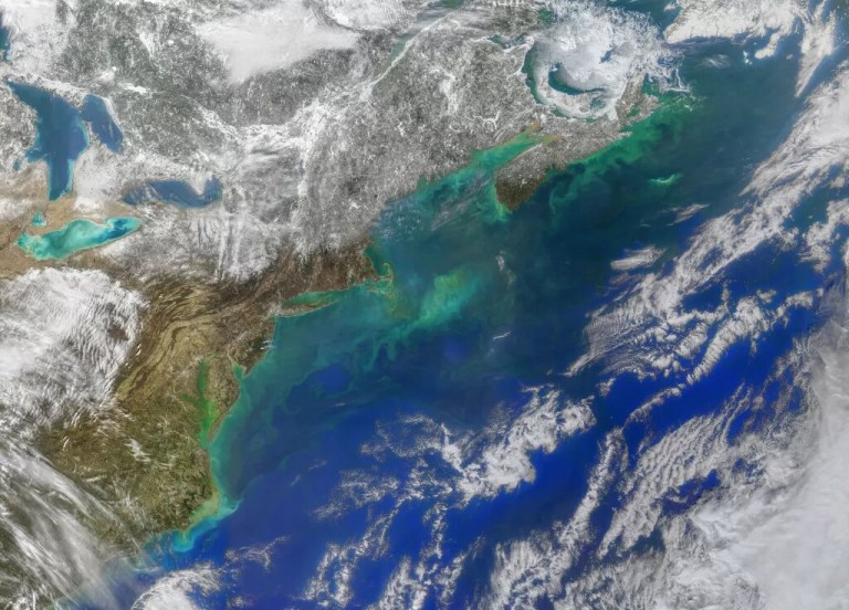 나사 랜드샛 데이터와 모디스 기상해양위성 데이터를 활용한 이미지. 사진=NASA 지구관측소/Joshua Stevens/ Norman Kuring