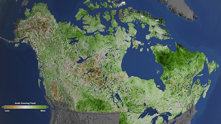 나사 랜드샛 위성에 포착된 알래스카와 캐나다 전역 녹조. 사진=NASA