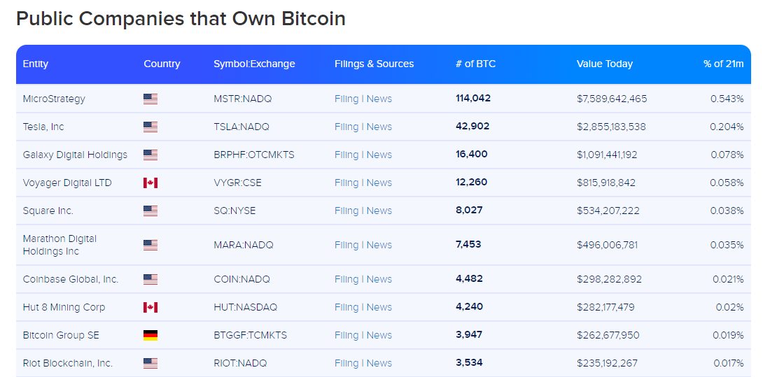 상장 기업 비트코인 보유 현황. 사진=바이비트코인월드와이드