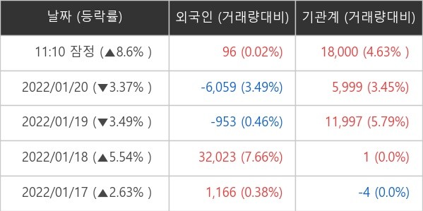 멕아이씨에스 외국인ㆍ기관 순매매량 (단위: 주)