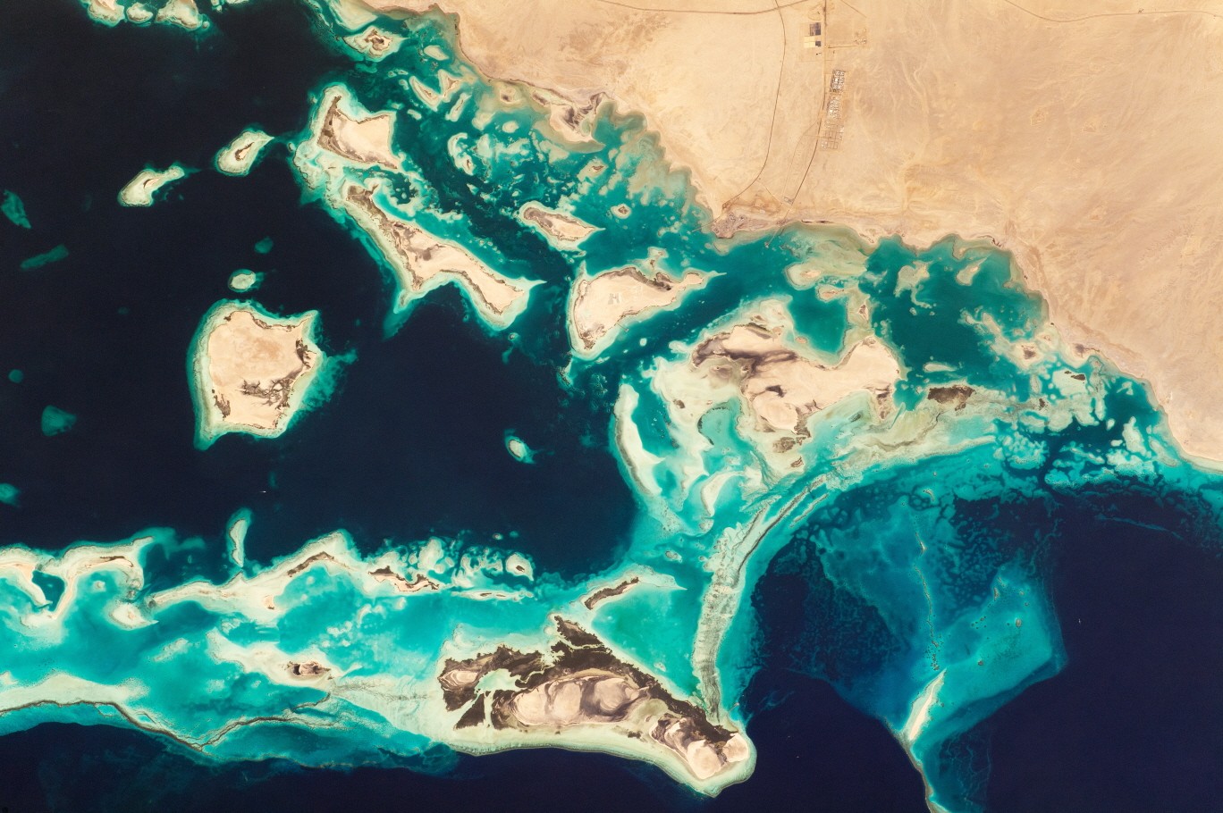 사우디아라비아 북서쪽 해안선. 사진=NASA Earth Observatory