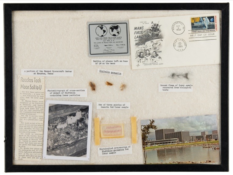 곤충학자 마리온 브룩스가 생전 집에 전시했던 아폴로 11호 기념품. 가운데는 바퀴벌레. 사진=PR옥션