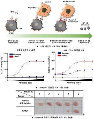 에이프로젠, 유방암치료제 비임상 효능 입증 완료