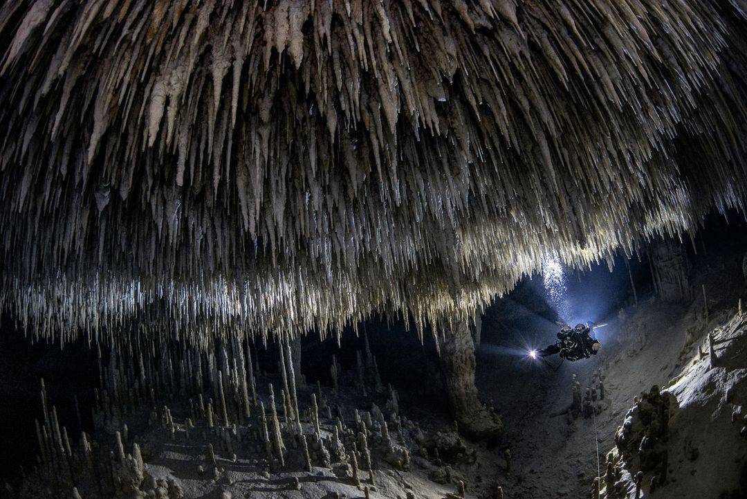 The Hidden Beauty Beneath Our Feet. Muyil, Quintana Roo, Mexico. 사진=Tom St. George