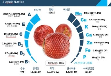 월드원무역, 아마존 과일 '아구아헤' 한국 시장 상륙