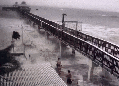 27일(현지시간) 플로리다 포트마이어스 주민들. 사진=잭 코비 트위터