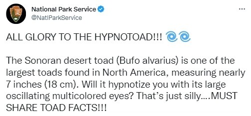 서두에 언급한 ‘힙노토드’(HYPNOTOAD)는 애니메이션 ‘퓨처라마’에 나오는 최면술 두꺼비 캐릭터. 국립공원관리청(NPS) 트위터 갈무리.