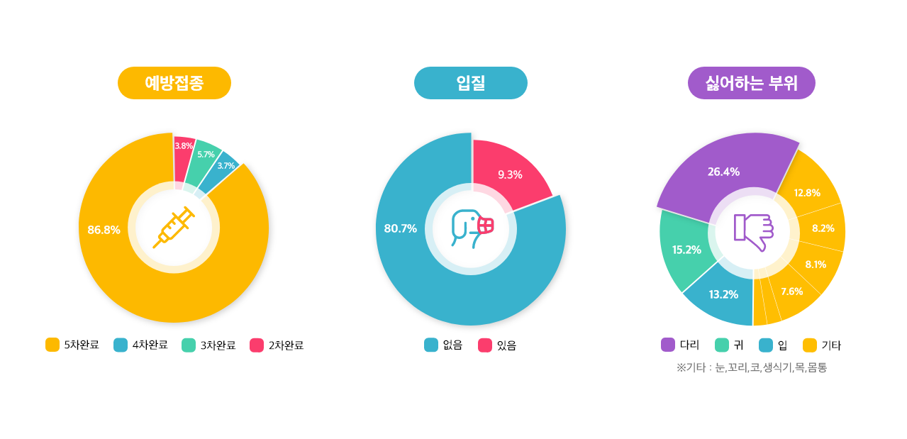 펫이지 제공.