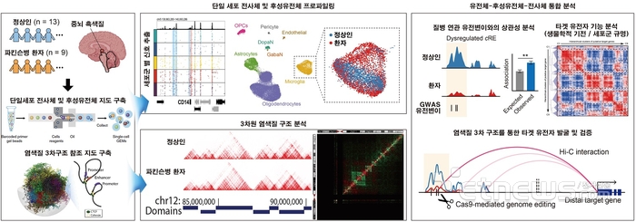 단일세포 후성 유전체 지도 분석을 통한 파킨슨병 연관분자기전 규명