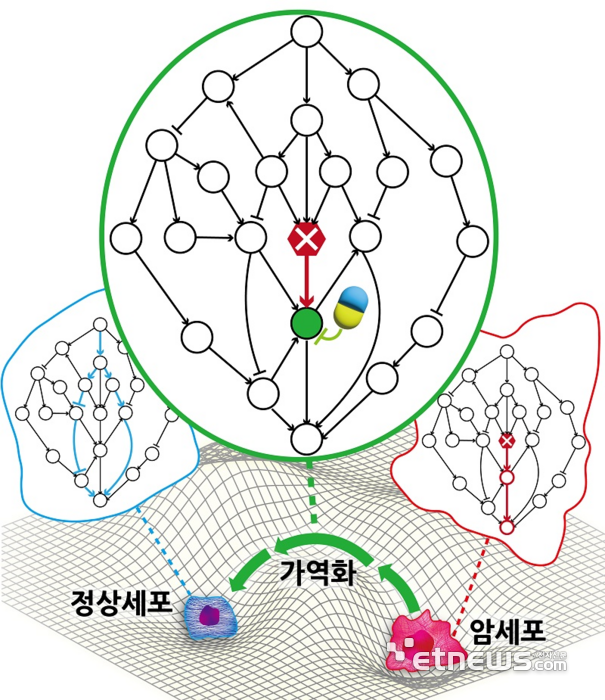 암세포를 정상세포로 되돌리는 KAIST의 연구결과 모식도