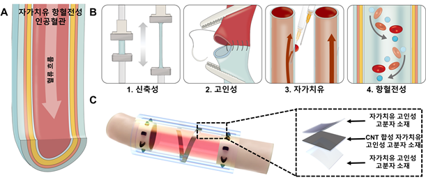 인공혈관으로서 적용가능한 자가치유 항혈전성 소재 모식도. 사진=서정목 연세대 교수 연구팀