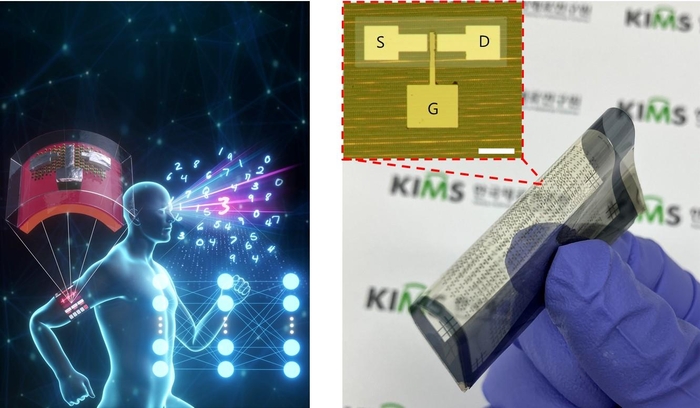 인체 부착이 가능한 웨어러블 엣지 뉴로모픽 반도체 소자 응용 모식도(왼쪽)와 고유연 기판에 완성된 고집적 뉴로모픽 시냅스 소자 어레이.
