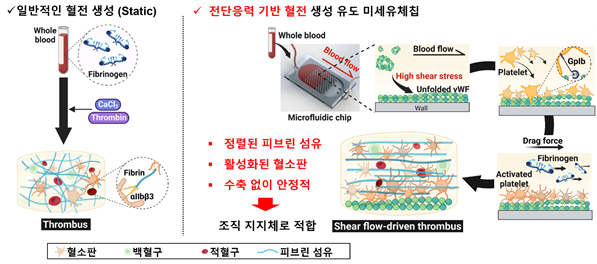 [연구그림] 미세유체기술로 IVET를 제작하는 원리와 특성