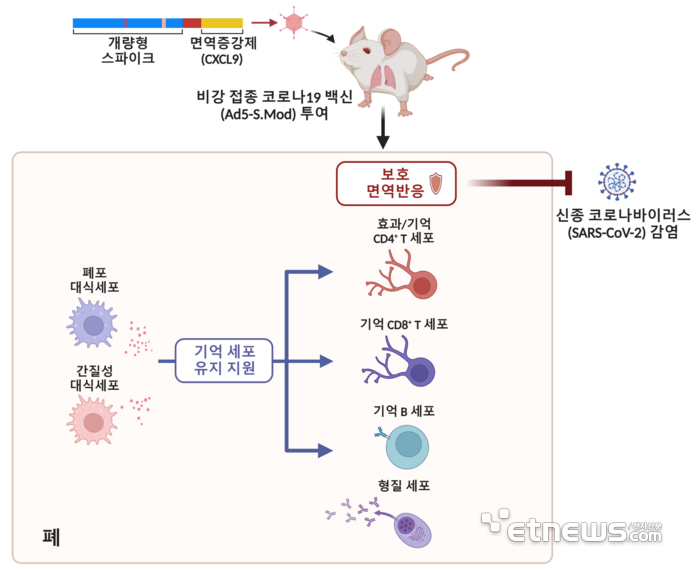 연구 모델 요약도