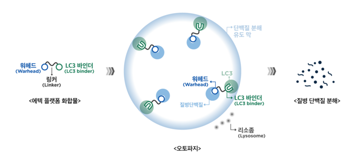 에텍 플랫폼