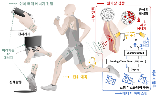 인체 매개 에너지 전달을 통한 전기 에너지 동기식 생성 개요. 사진=이상민 중앙대 교수 연구팀