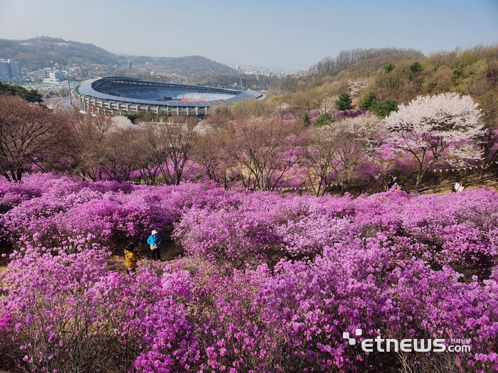 부천8경 중 3경 '진달래동산'