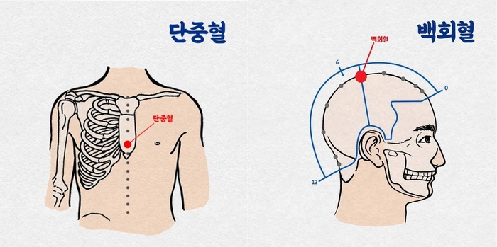 단중혈과 백회혈