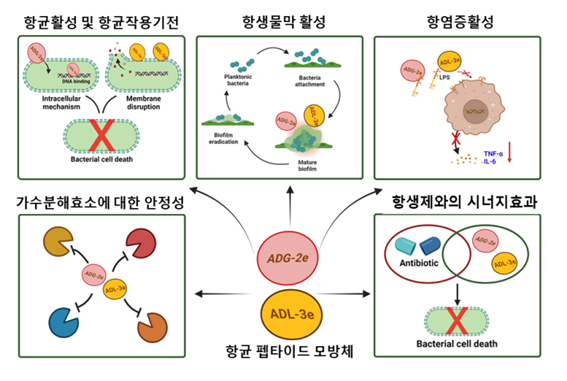 KBSI가 개발한 항균 펩타이드 모방체의 항균 효과 모식도