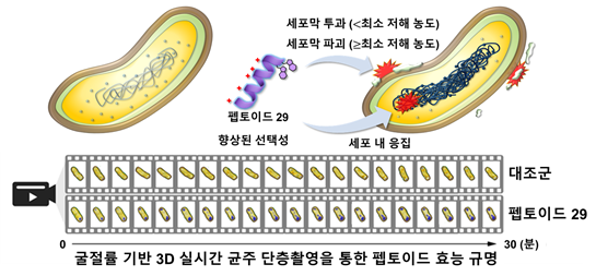 3차원 홀로토모그래피 활용 내성균 치료 항생제 개발