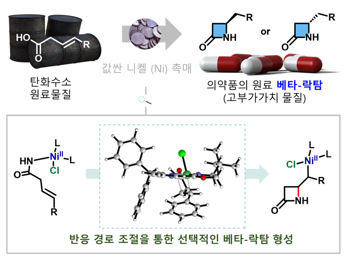 기초과학연구원(IBS) 분자활성 촉매반응 연구단은 값싼 니켈 촉매와 탄화수소 원료물질을 활용해 항생제 원료물질인 베타-락탐을 높은 거울상 이성질체 비율로 합성하는 신개념 촉매반응을 개발했다.