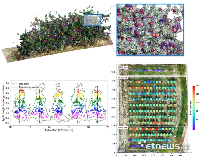 이경환 전남대 교수팀의 과수원 과일 수 인공지능 식별 기술 개발 그래픽.