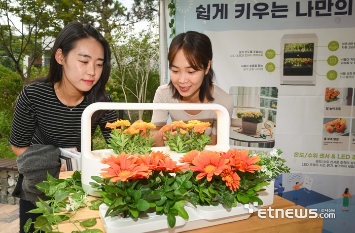 지식재산의 날, 식물재배기 '틔운' 살펴보는 시민들