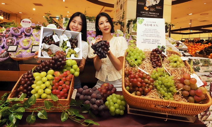 신세계백화점이 '포도의 신세계' 행사를 열고 다양한 품종의 포도를 선보인다. (사진=신세계백화점)