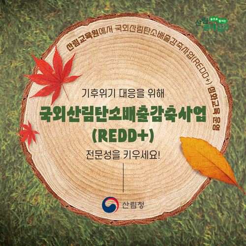 산림청, 국외산림탄소배출감축사업 심화과정 교육생 모집