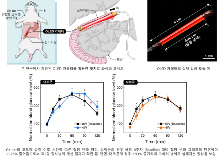 OLED 카테터를 활용한 빛 치료 과정 모식도와 디바이스