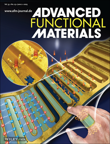 배근열 교수 공동연구팀 연구성과가 '어드벤스드 펑셔널 머티리얼즈(Advanced Functional Materials)'에 게재됐다.