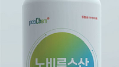 주요뉴스 이미지