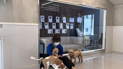 주요뉴스 이미지