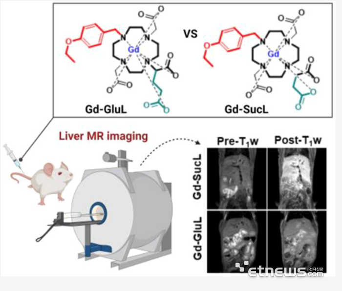 MRI 간특이 조영제