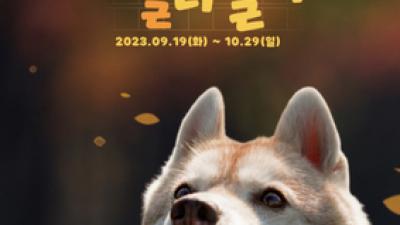 주요뉴스 이미지