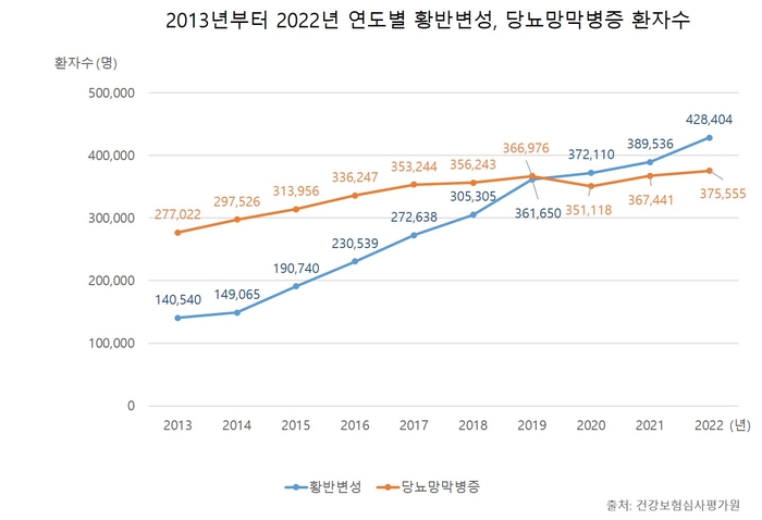 황반변성·당뇨망막병증 10년간 2배 증가…고령화·당뇨 등 원인