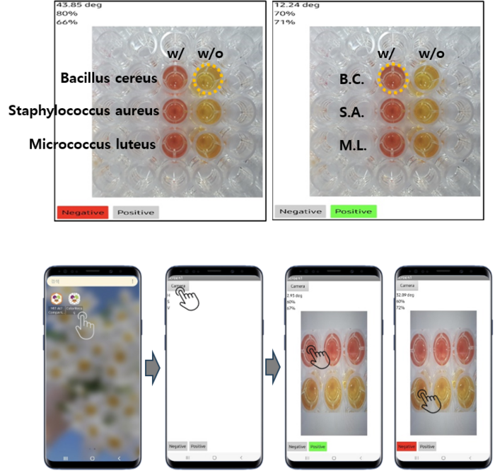 스마트폰 앱을 활용한 실제 박테리아 검출 화면