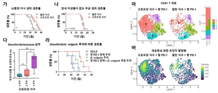 고 포도당 음료가 교모세포종 뇌종양생쥐 모델에서 생존율에미치는 영향 결과